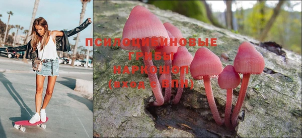 стаф Алексеевка