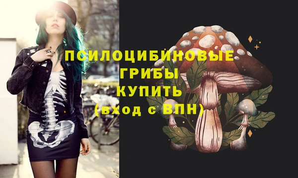 стаф Алексеевка