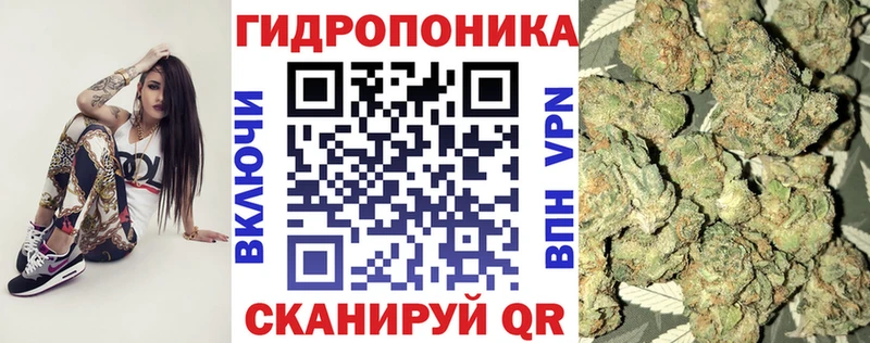 Конопля конопля Сим
